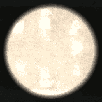 pt_ver_fov.gif